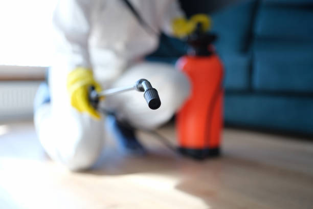 Best Mold Documentation for Insurance Claims  in Greenacres, CA