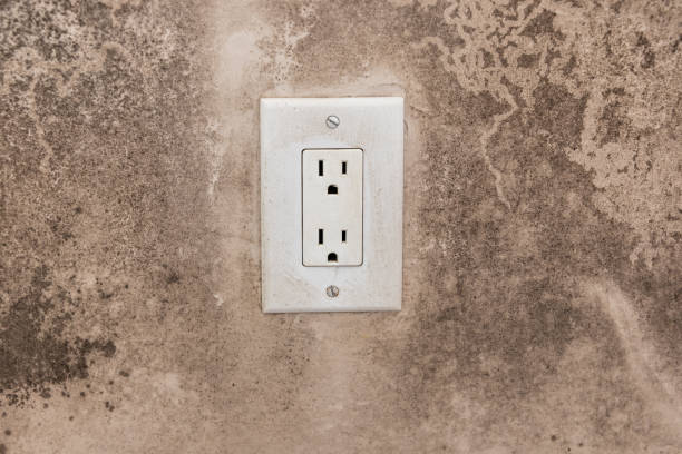 Best Commercial Mold Inspection  in Greenacres, CA